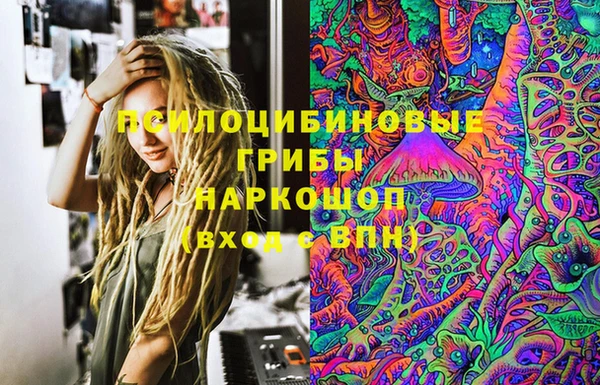 марки lsd Гусь-Хрустальный