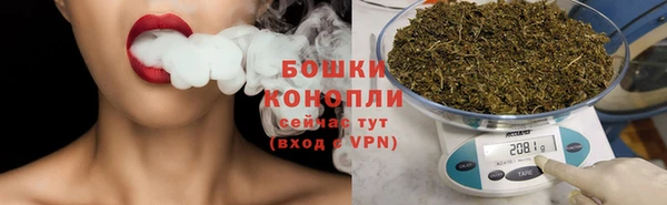 гашик Дмитров