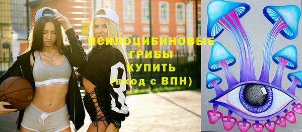 соль ск Гусев
