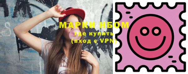 гашик Дмитров