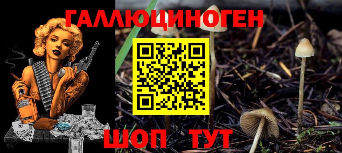 Электрогорск  Галлюциногенные грибы прущие грибы  закладки  Вход с VPN 