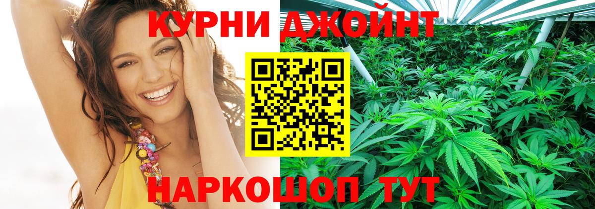 Электрогорск  Канабис гибрид  Вход с VPN  Бошки Шишки LSD WEED 